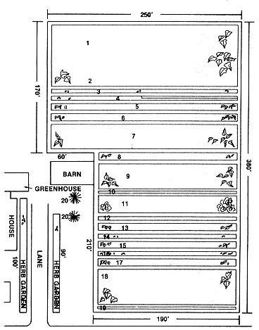 
Layout for Rex Oberhelman's organic farm  garden rows.
